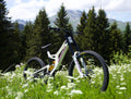 Maillot LC TV - BIKE à GAGNER